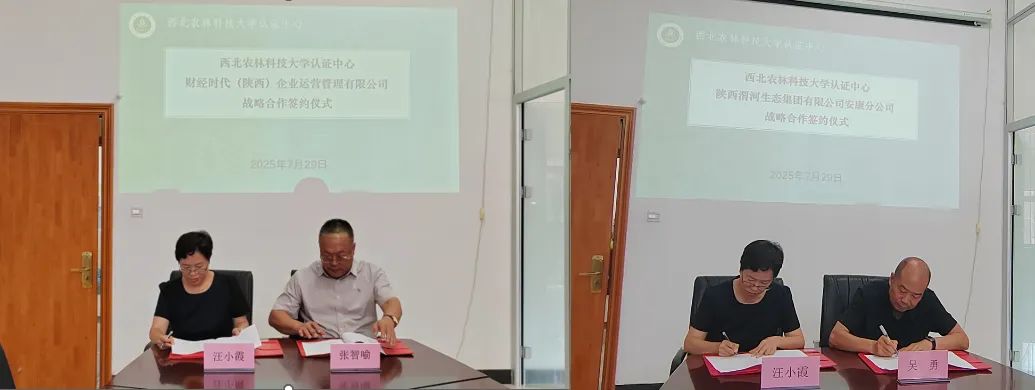下载.jpg